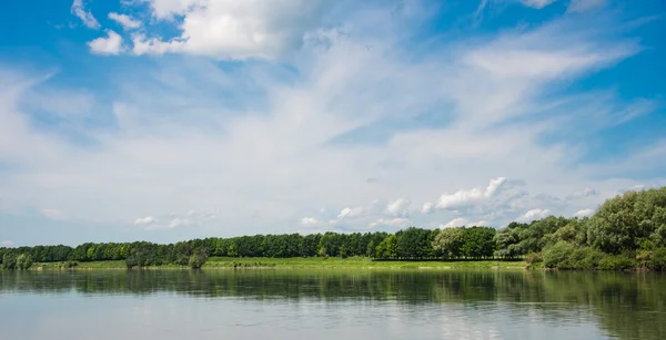 Sommerlandschaft — Stockfoto