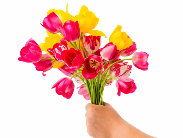 Strauß Tulpen — Stockfoto