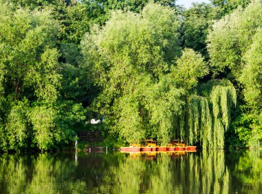 Yaz nehri manzarası