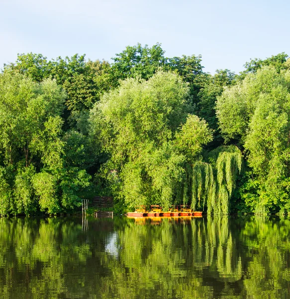 Yaz nehri manzarası — Stok fotoğraf