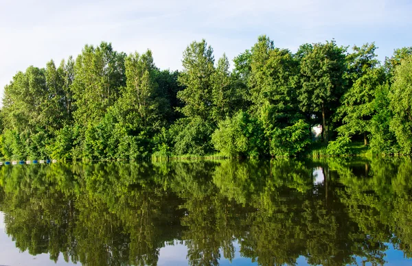 Sommar flod landskap — Stockfoto