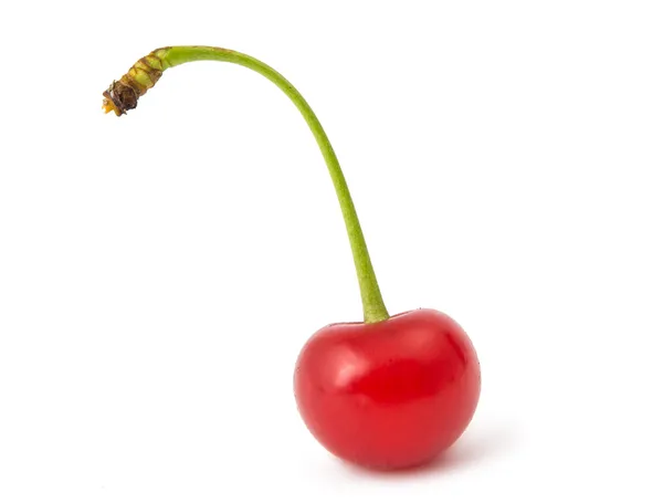 Cherry geïsoleerd — Stockfoto