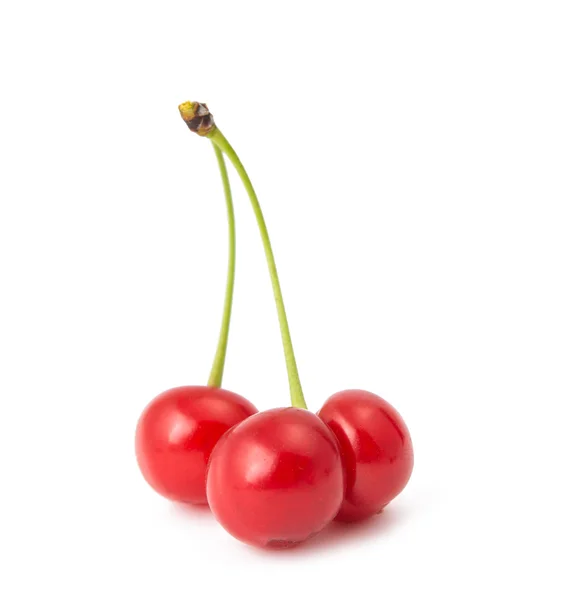 Cherry geïsoleerd — Stockfoto