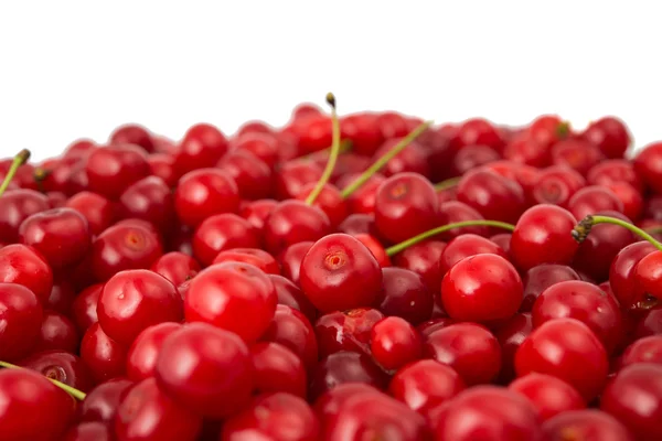 Cerezas jugosas — Foto de Stock