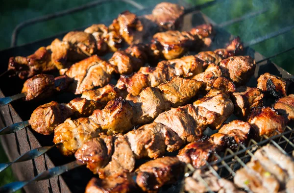 Shashlik (shaslik) - barbecue tradizionale russo . — Foto Stock