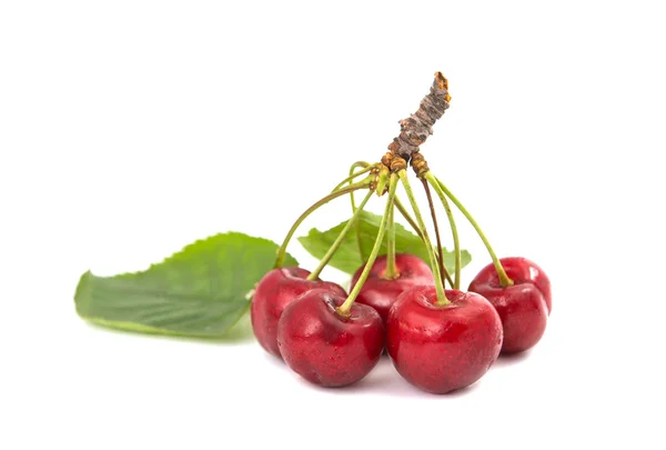 Sweet cherries — Stock Photo, Image