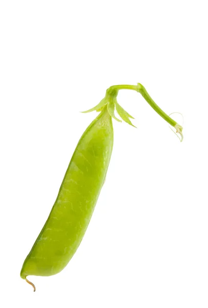 Green pea pod — Stock Photo, Image