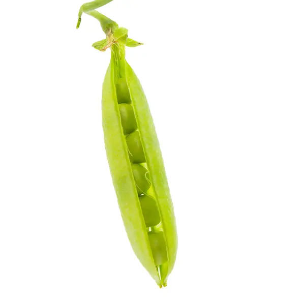 Green pea pod — Stock Photo, Image