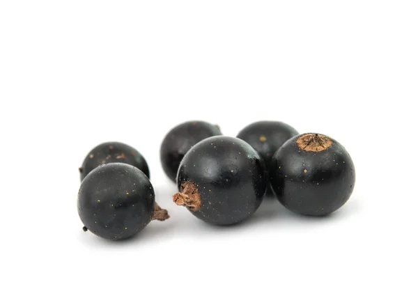 Black currant — Stock Photo, Image