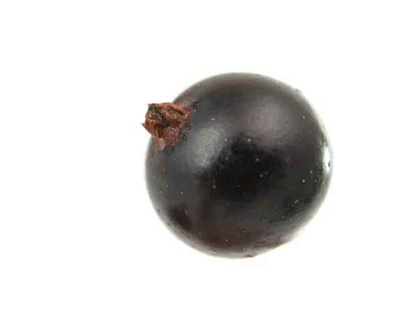 Black currant — Stock Photo, Image