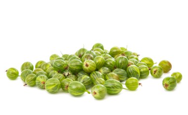 bektaşi izole