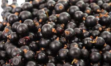 Siyah frenk üzümü yığını.