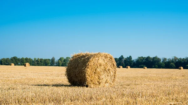 Hay balyaları — Stok fotoğraf