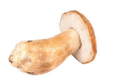 cep yalıtılmış
