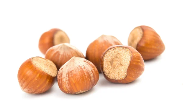 Lískového ořechu, samostatný — Stock fotografie