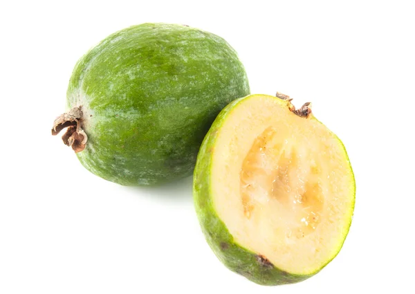 Feijoa isoliert — Stockfoto