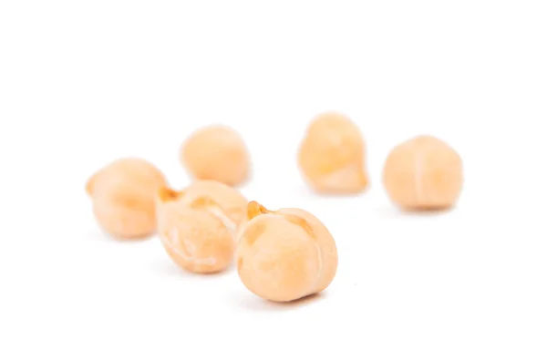 병아리 콩 절연 — 스톡 사진