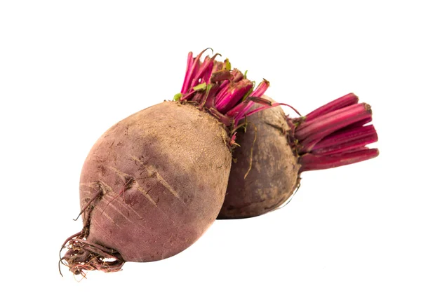 Red beet isolated — Stock Photo, Image