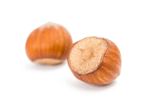 Hazel nut isolerade — Stockfoto