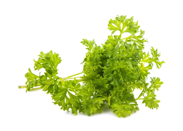 Parsley isolated Royalty Free Stock Images