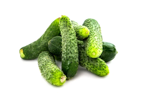 Komkommers voor beitsen — Stockfoto