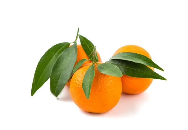 Tangerine isolerade — Stockfoto