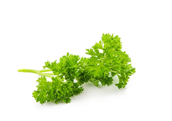 Parsley isolated — Stock Photo, Image