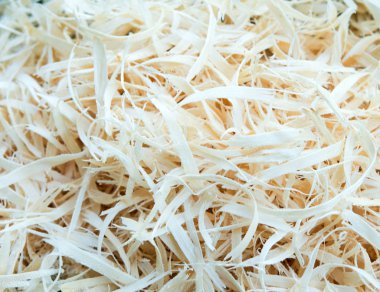 ahşap talaş doku arka plan