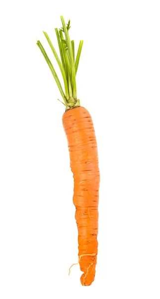 Carrots isolated — Stock Photo, Image