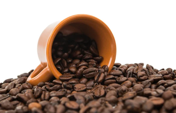 Kaffebönor med en kopp kaffe — Stockfoto