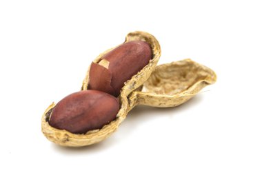 Fıstık