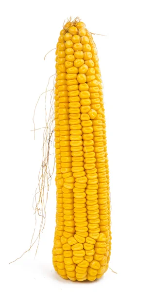 Corn isolated — Stock Photo, Image