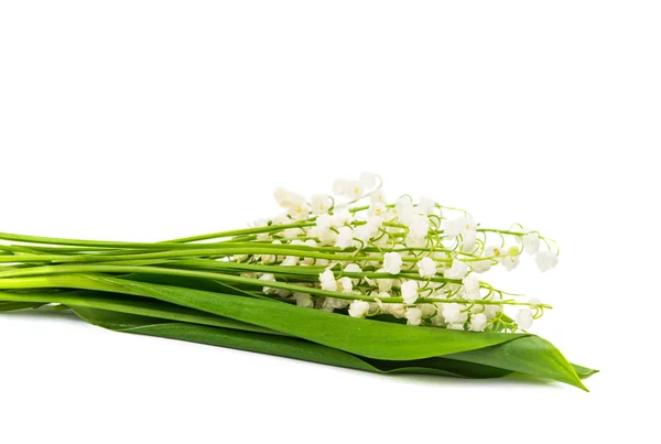 Bouquet of lilies of the valley isolated — Stock Photo, Image