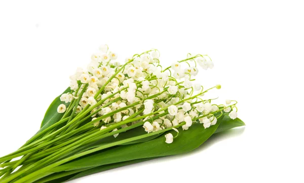 Bouquet of lilies of the valley isolated — Stock Photo, Image