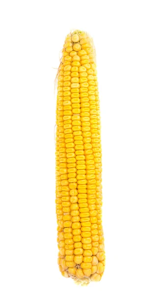 Odizolowana kukurydza — Zdjęcie stockowe