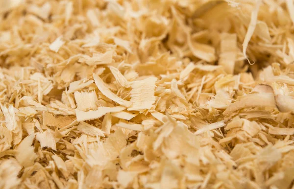 Background of wood shavings — Stock Photo, Image