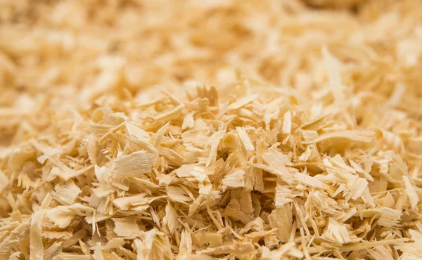 Background of wood shavings — Stock Photo, Image