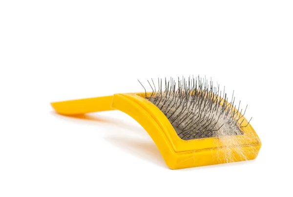 Brosse pour animaux isolés — Photo