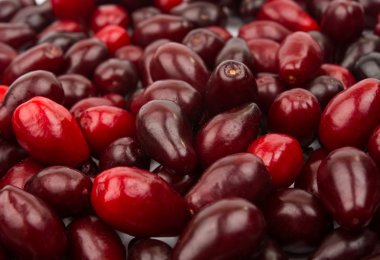 taze kızılcık kiraz arka plan