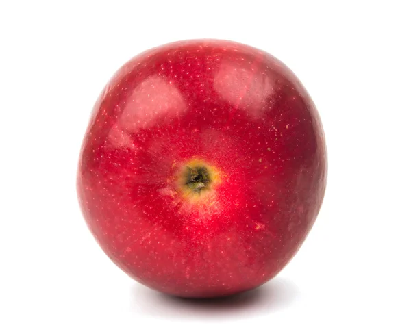 Manzana roja madura aislada — Foto de Stock