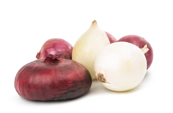 Onion bulb isolated — Stock Photo, Image