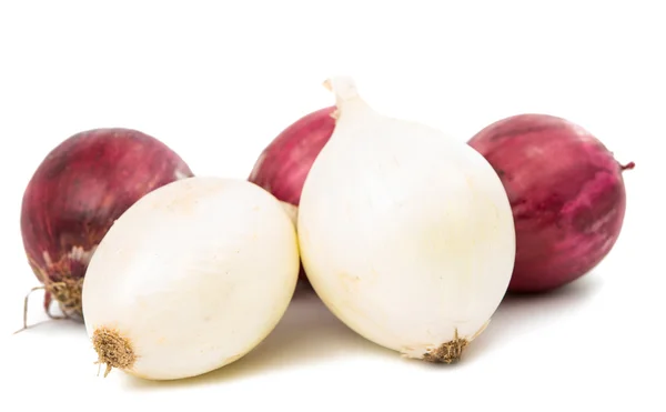 Onion bulb isolated — Stock Photo, Image