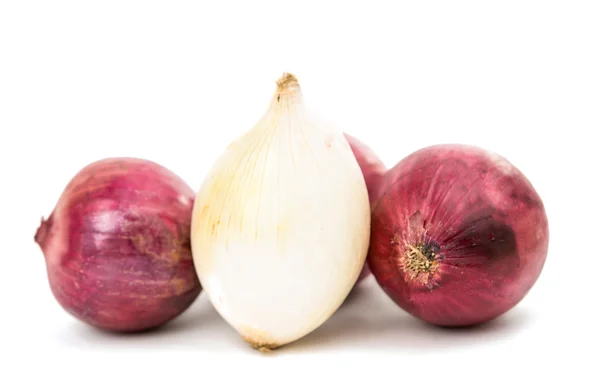 Onion bulb isolated — Stock Photo, Image