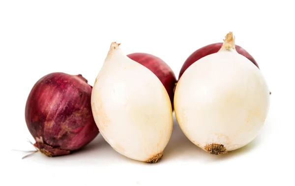 Onion bulb isolated — Stock Photo, Image