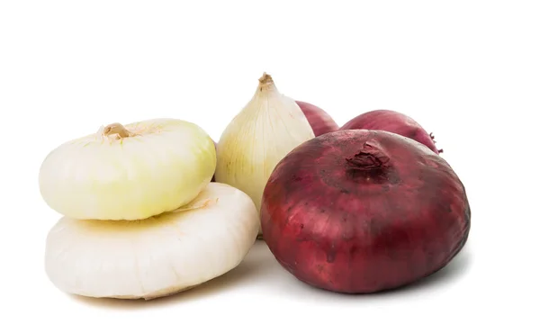 Onion bulb isolated — Stock Photo, Image