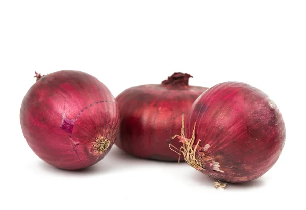 Red sliced onion isolated — Stock Photo, Image