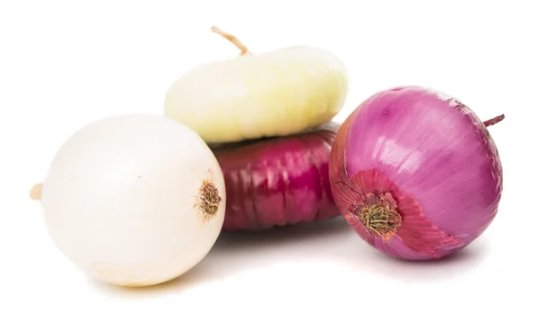 Onion bulb isolated — Stock Photo, Image