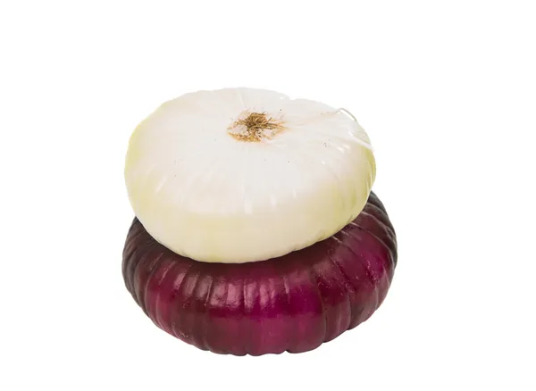 Onion bulb isolated — Stock Photo, Image