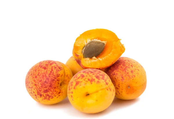 Apricot isolated — Stock Photo, Image