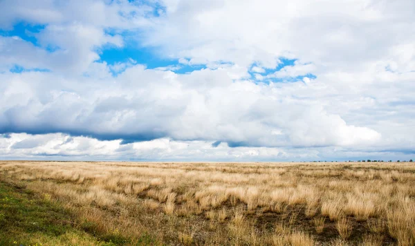 Steppe — Stock Photo, Image